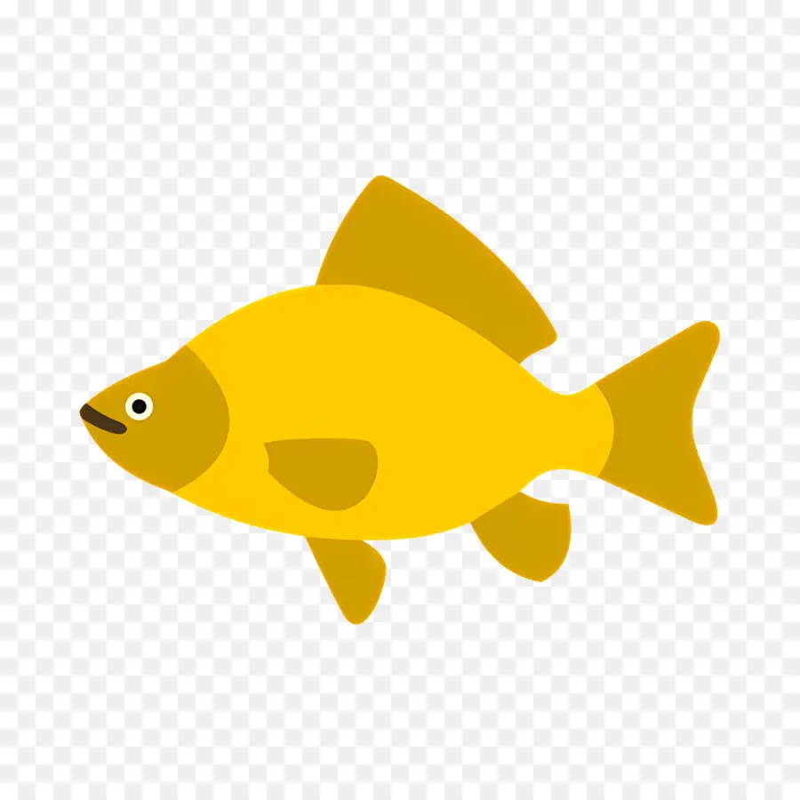 Peixe Tropical，Peixe PNG