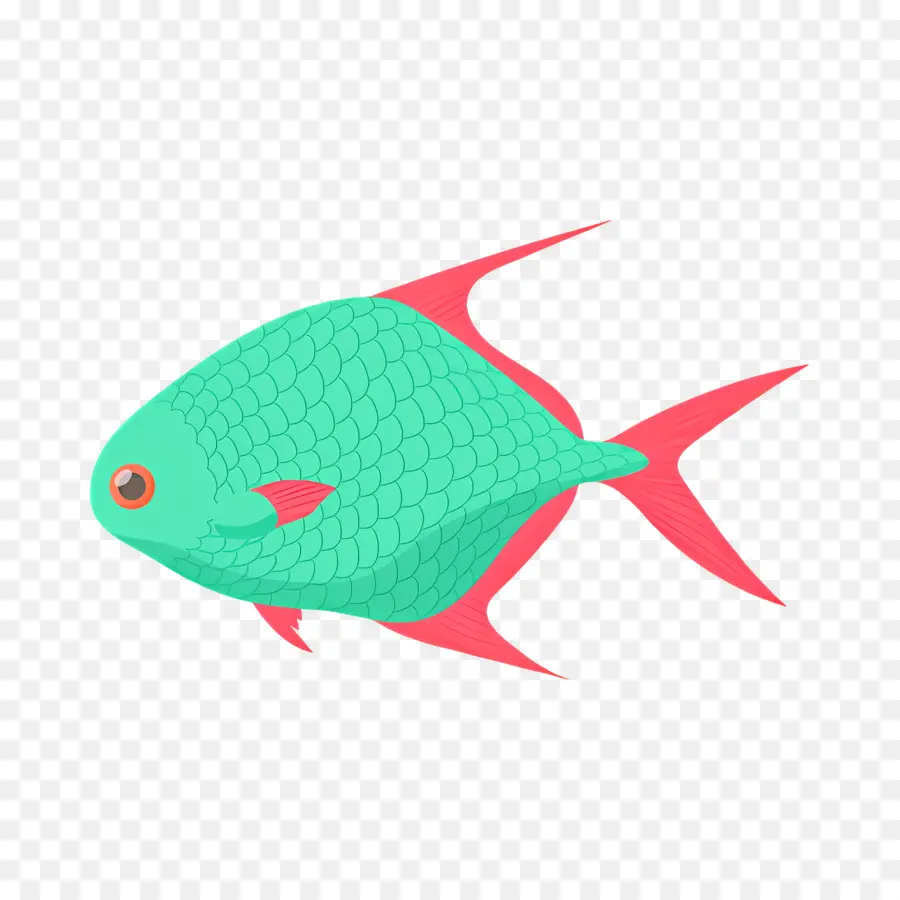 Peixe Tropical，Peixe Verde PNG