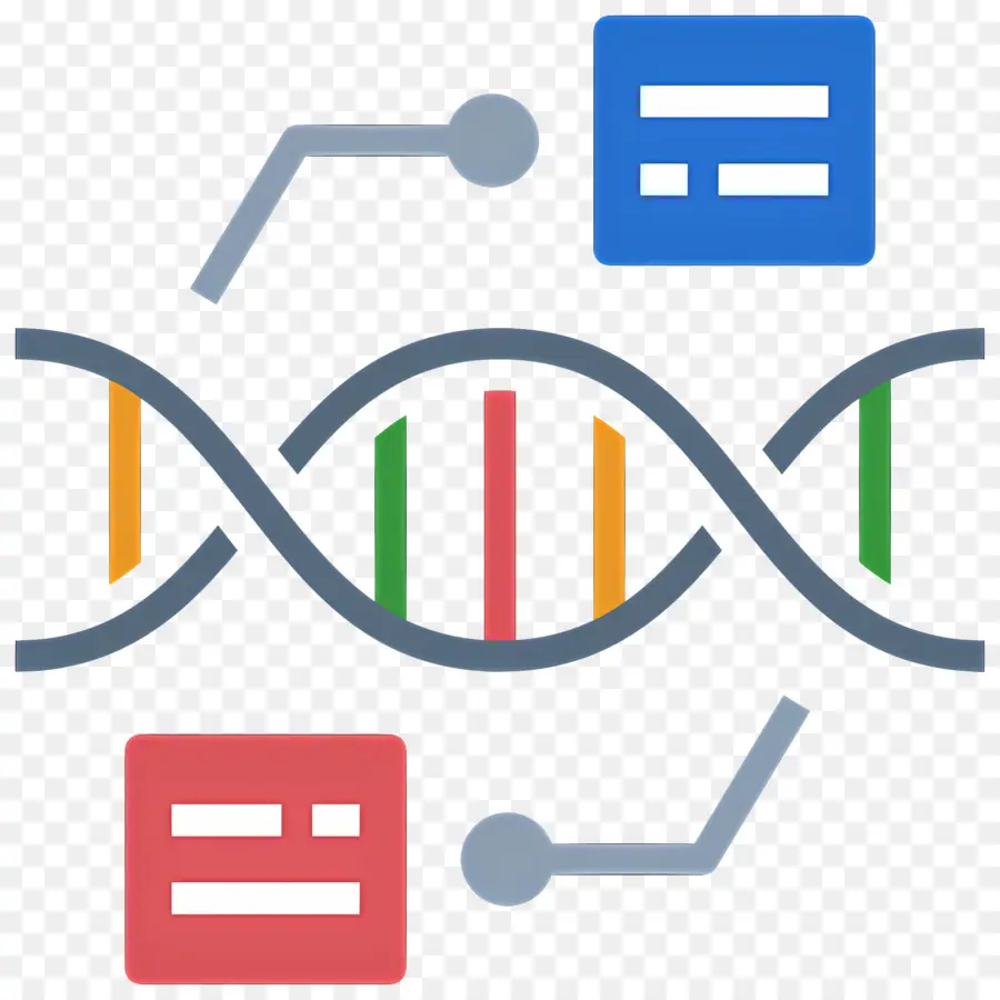 Ciência De Dados，Fio De Dna PNG