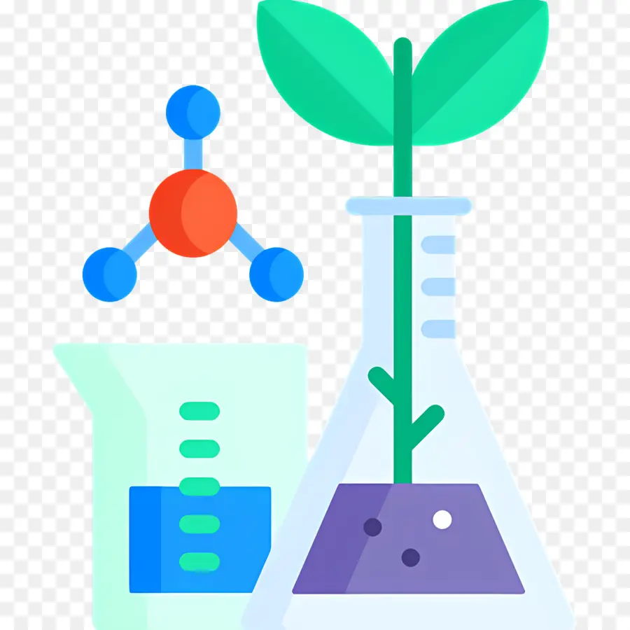 Laboratório De Ciências，Experimento Com Plantas PNG