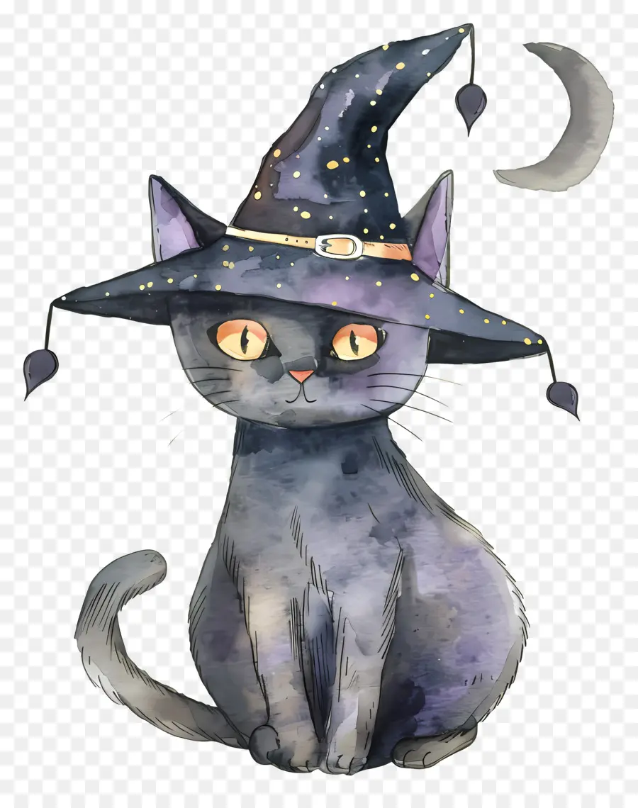 Gato De Halloween，Gato Preto Com Chapéu De Bruxa PNG