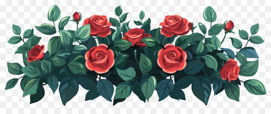 Rosa Bush，Rosas PNG