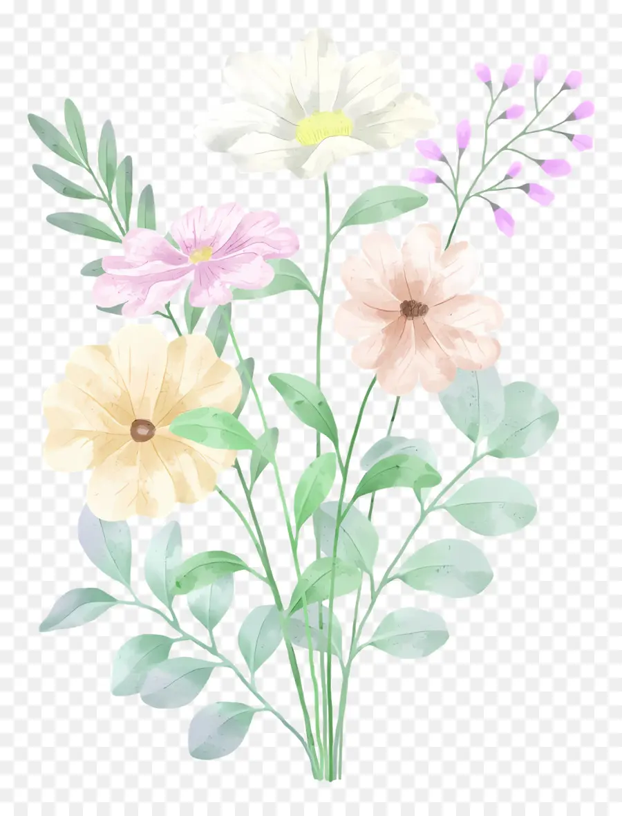 Flores Em Aquarela，Aquarela PNG