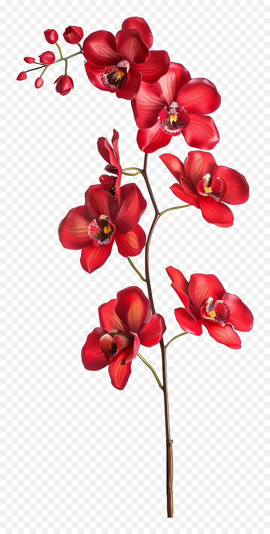 Flor De Orquídea，Orquídeas Vermelhas PNG