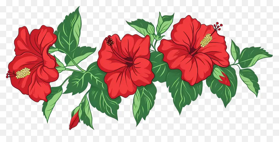 Arbusto De Flores，Flores De Hibisco Vermelho PNG