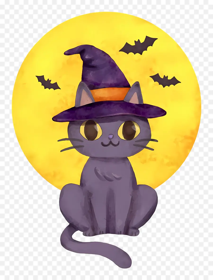 Gato De Halloween，Gato Preto Com Chapéu De Bruxa PNG