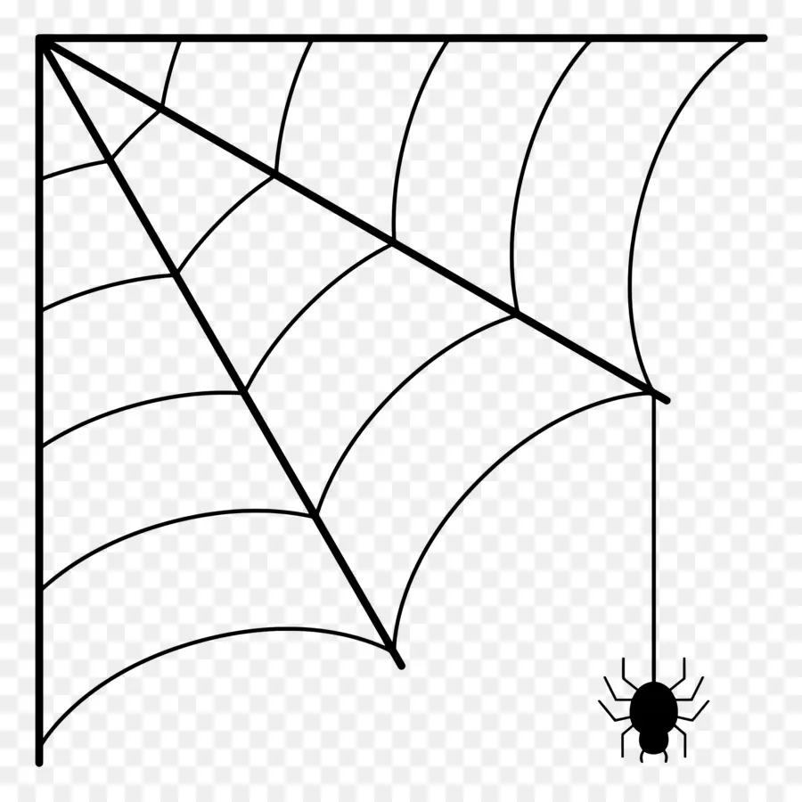 Teia De Aranha De Halloween，Teia De Aranha PNG