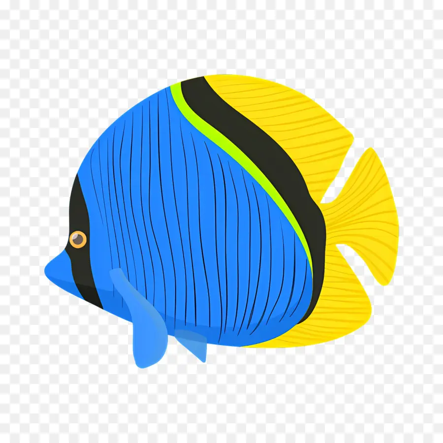 Peixe Tropical，Peixe PNG