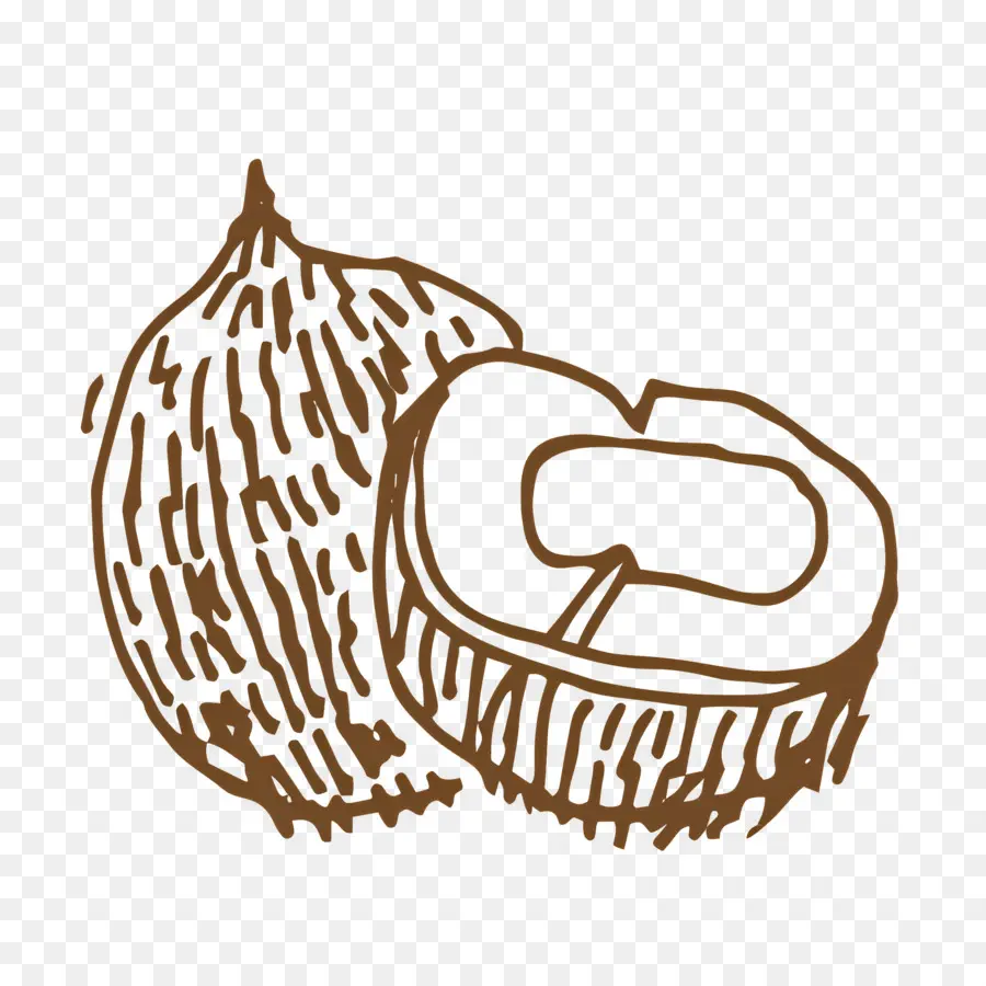 Esboço De Comida，Coco PNG