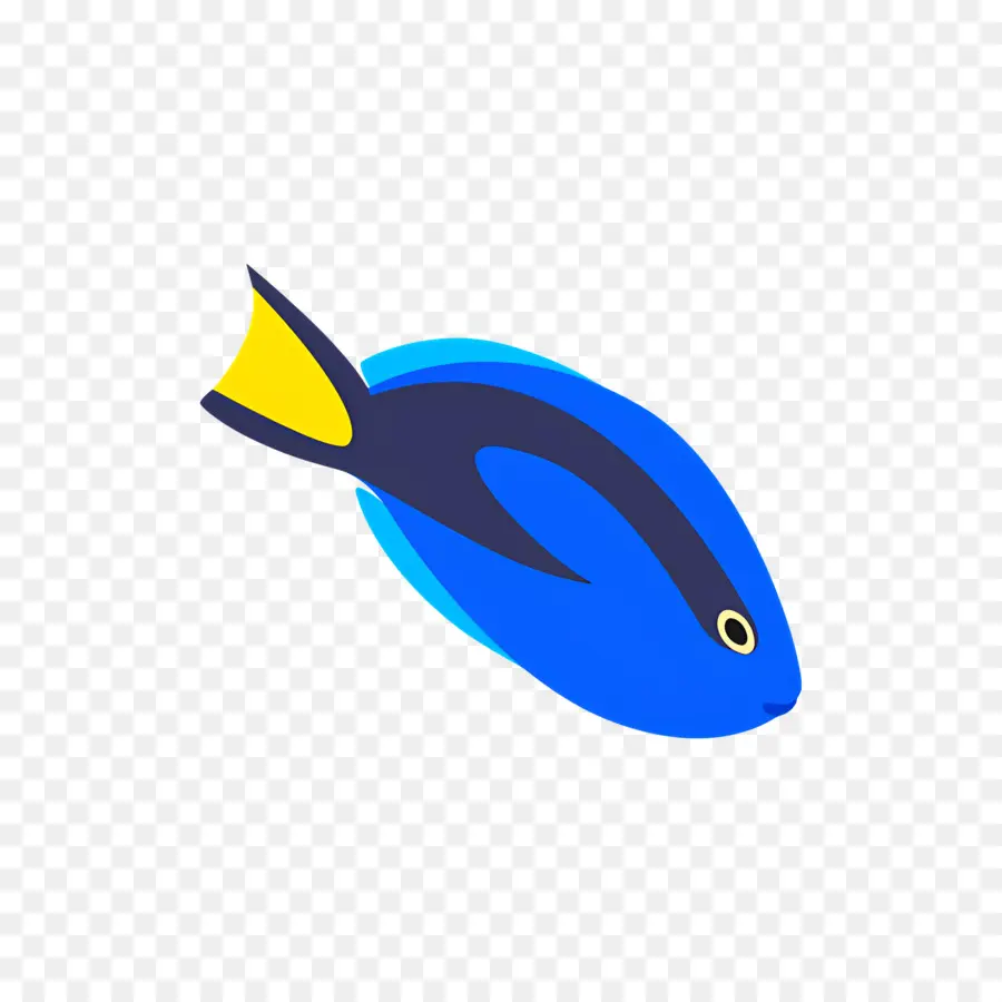 Peixe Tropical，Peixe Azul PNG