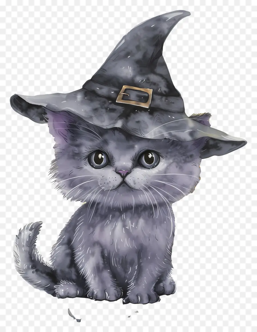 Gato De Halloween，Gato Preto Com Chapéu De Bruxa PNG