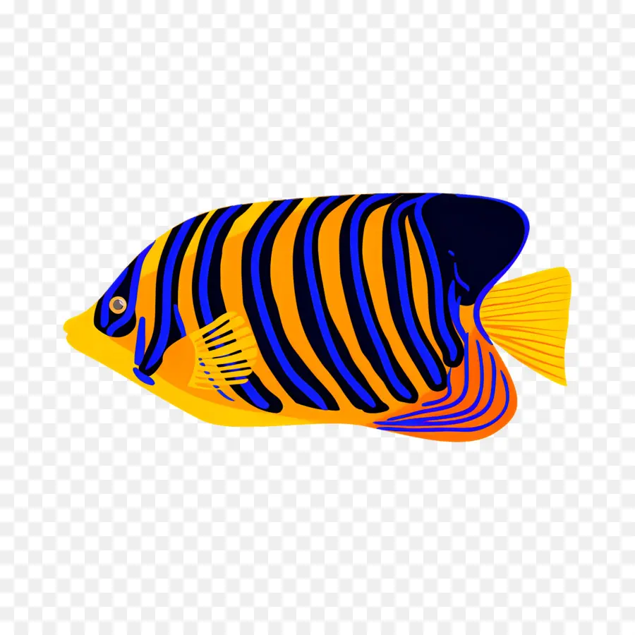 Peixe Tropical，Peixe Colorido PNG