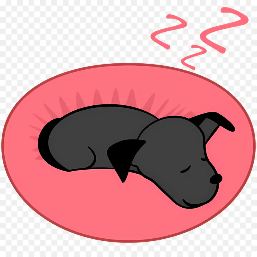 Cachorro Dormindo，Descansar PNG