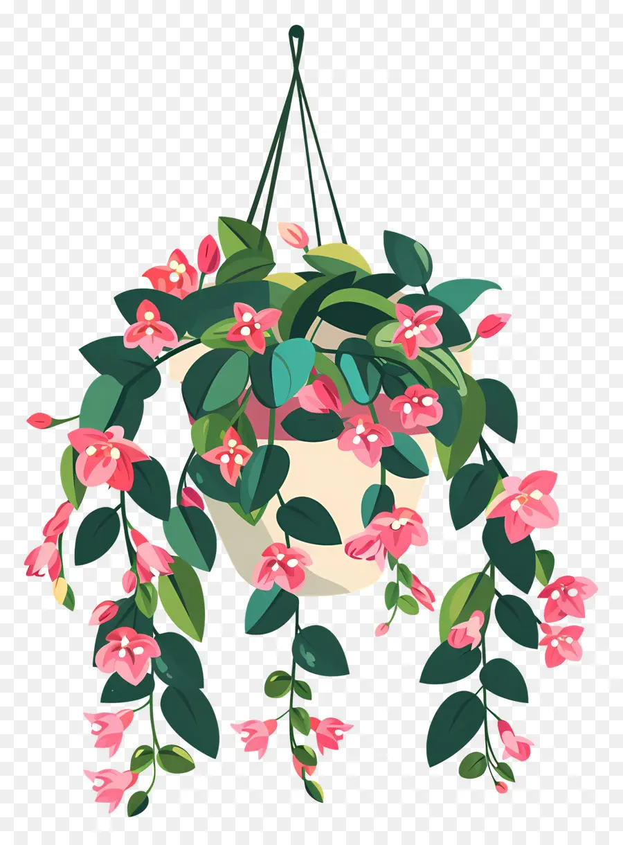 Flores Penduradas，Planta Suspensa Com Folhas Manchadas PNG