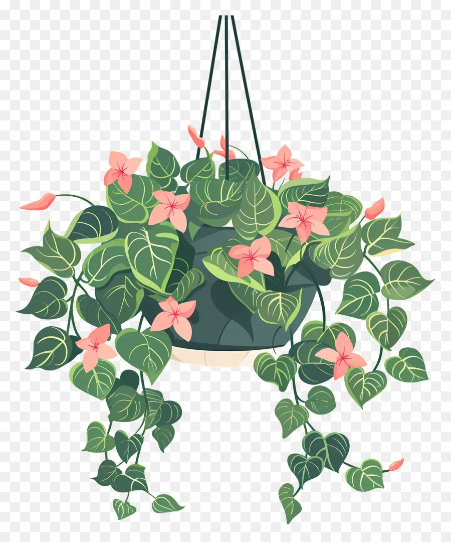 Flores Penduradas，Planta Suspensa Com Pequenas Flores Rosa PNG