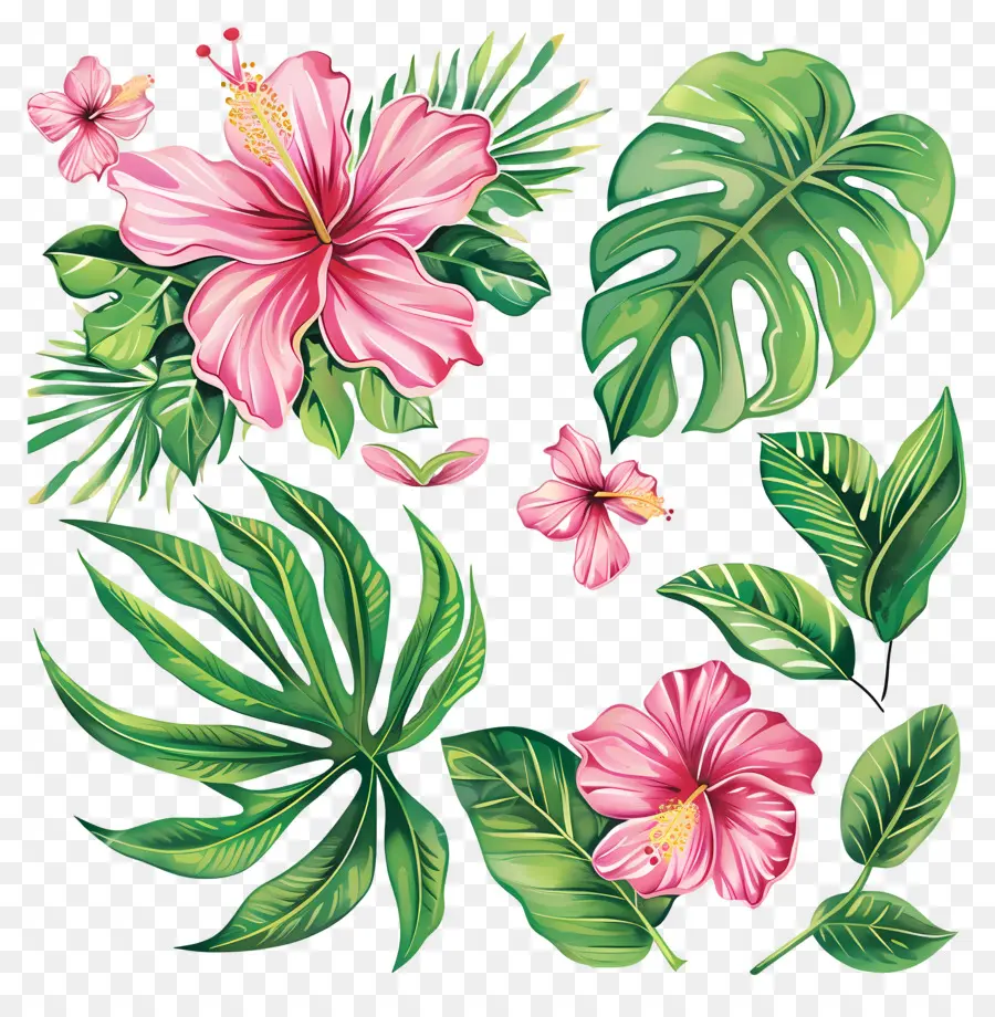 Flores Tropicais，Flores E Folhas Tropicais PNG