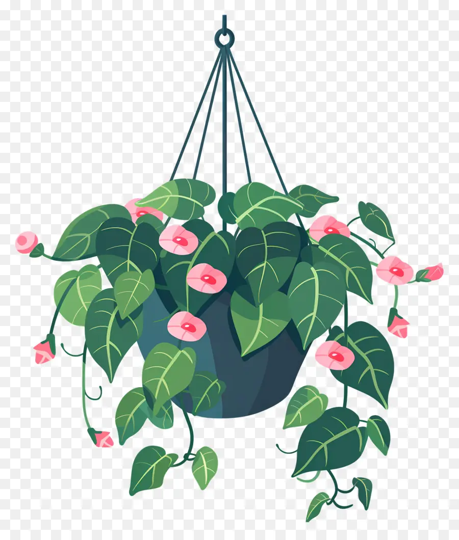 Flores Penduradas，Planta Suspensa Com Pequenas Flores Rosa PNG