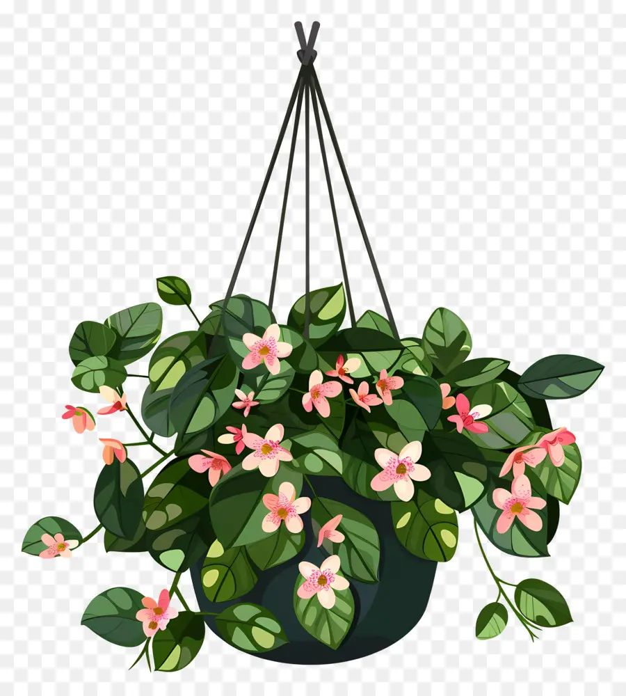 Flores Penduradas，Planta Suspensa Com Pequenas Flores Rosa PNG