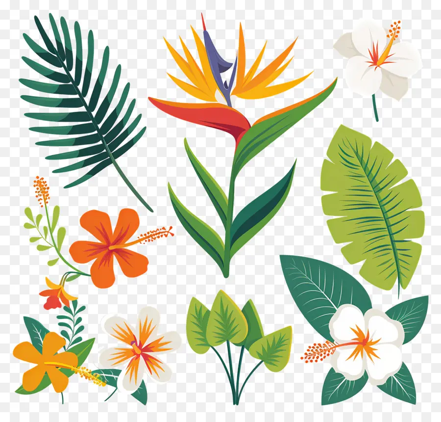 Flores Tropicais，Folhas E Flores Tropicais PNG