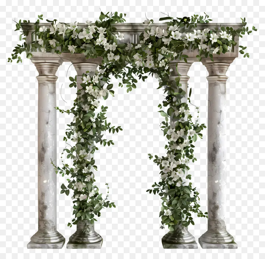 Arco De Casamento，Arco De Coluna Branca PNG