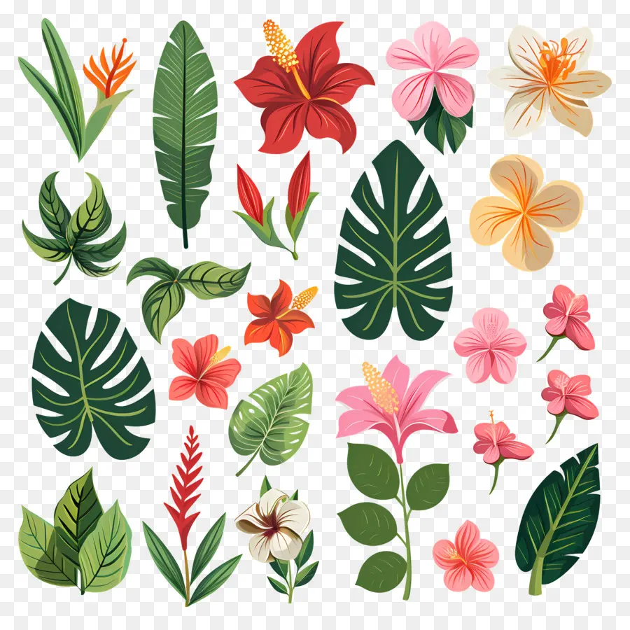 Flores Tropicais，Folhas E Flores Tropicais PNG