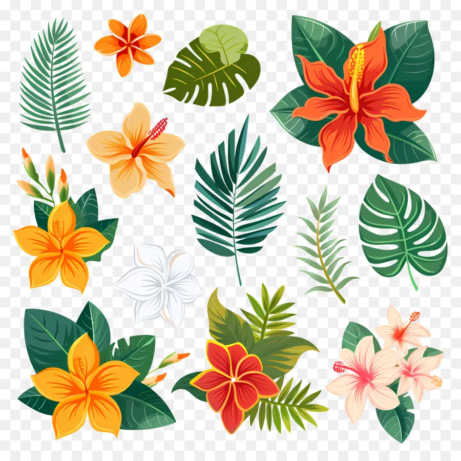 Flores Tropicais，Folhas E Flores Tropicais PNG