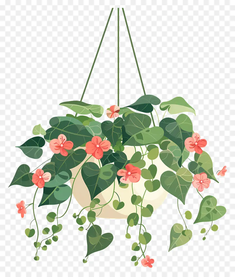 Flores Penduradas，Planta Suspensa Com Pequenas Flores Rosa PNG