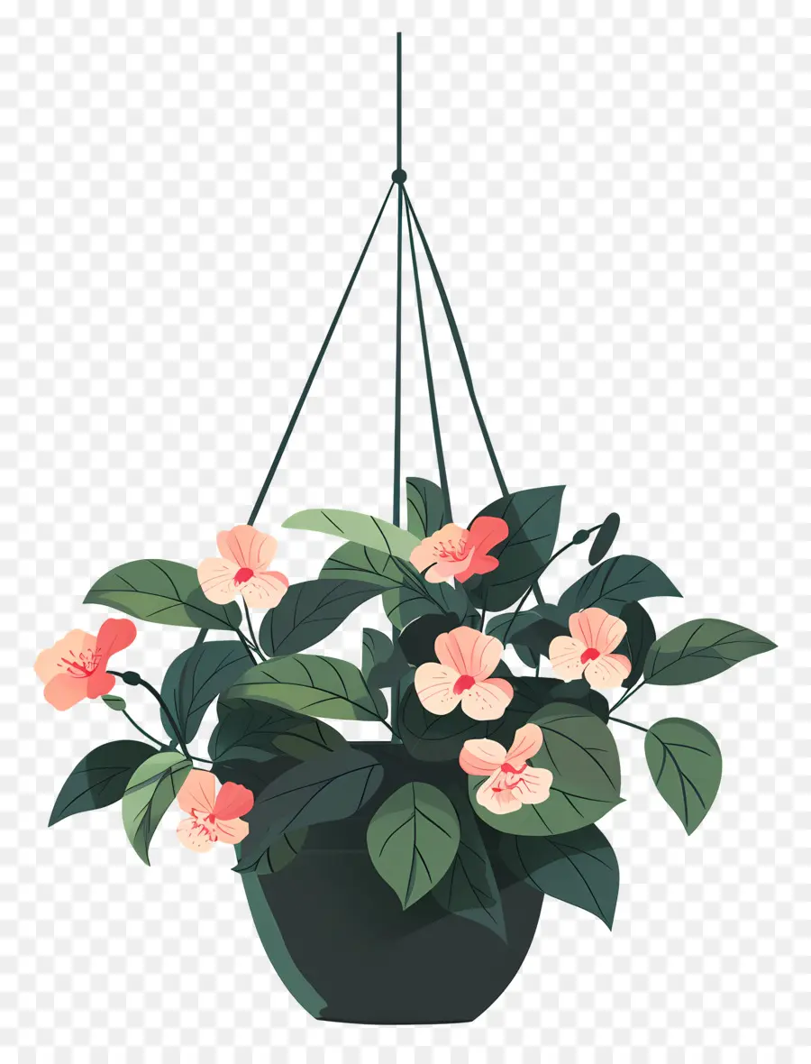 Flores Penduradas，Planta Suspensa Com Pequenas Flores Rosa PNG