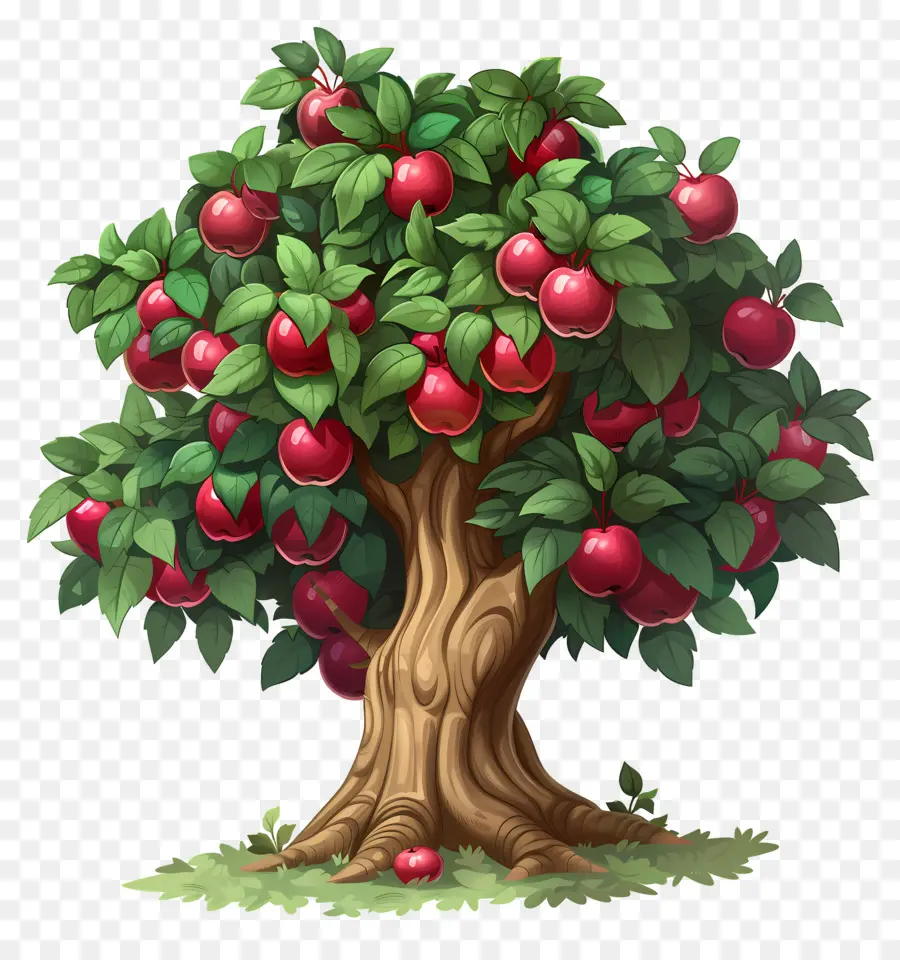 Macieira，Fruta PNG