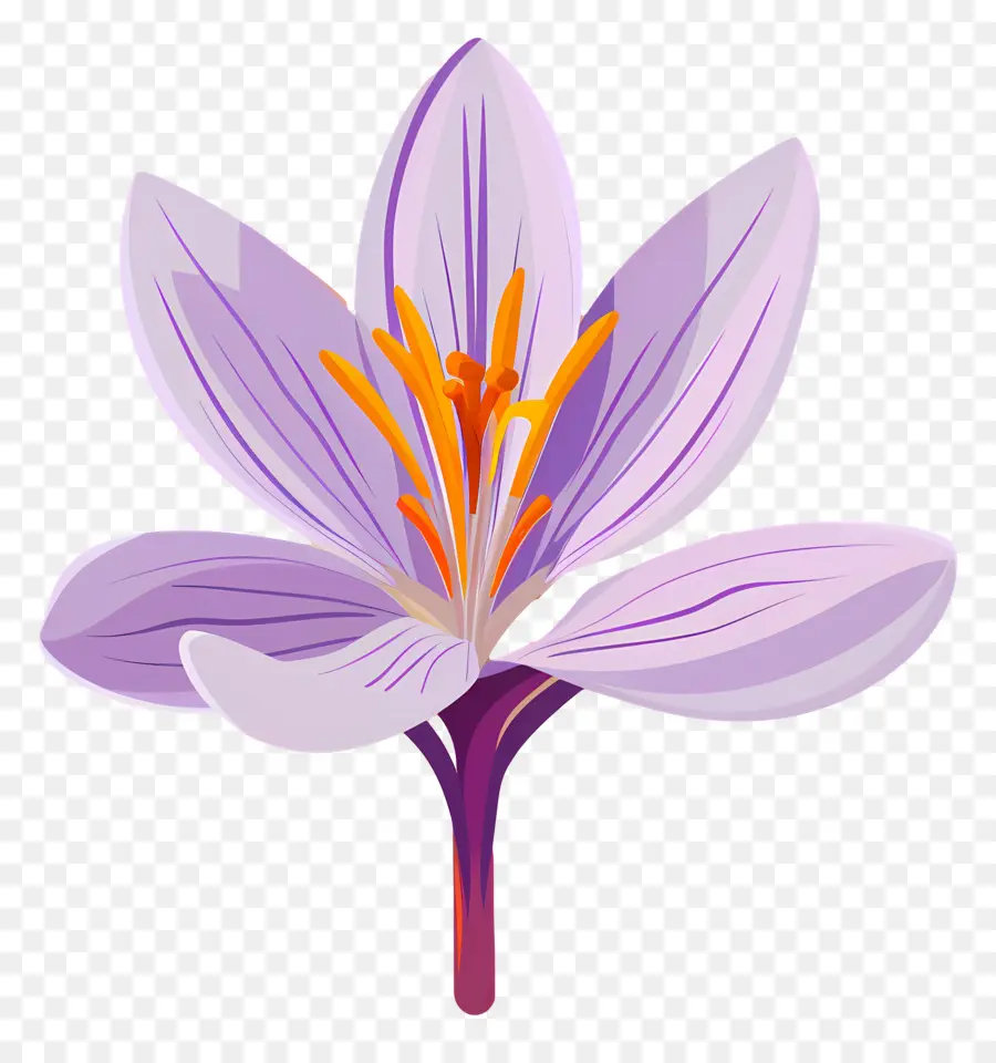 Flor De Açafrão，Flor Roxa PNG