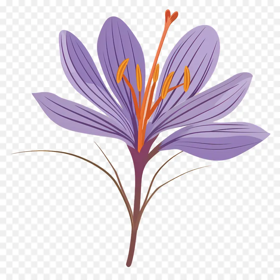 Flor De Açafrão，Flor Roxa PNG