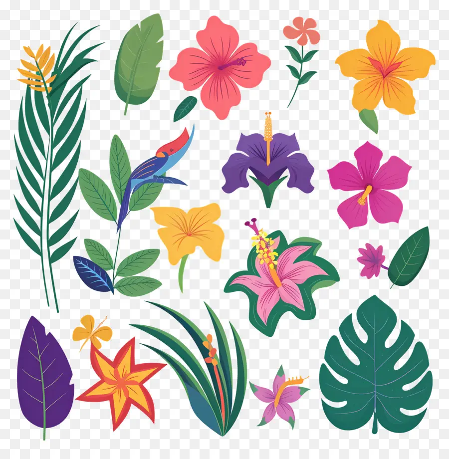 Flores Tropicais，Folhas E Flores Tropicais PNG