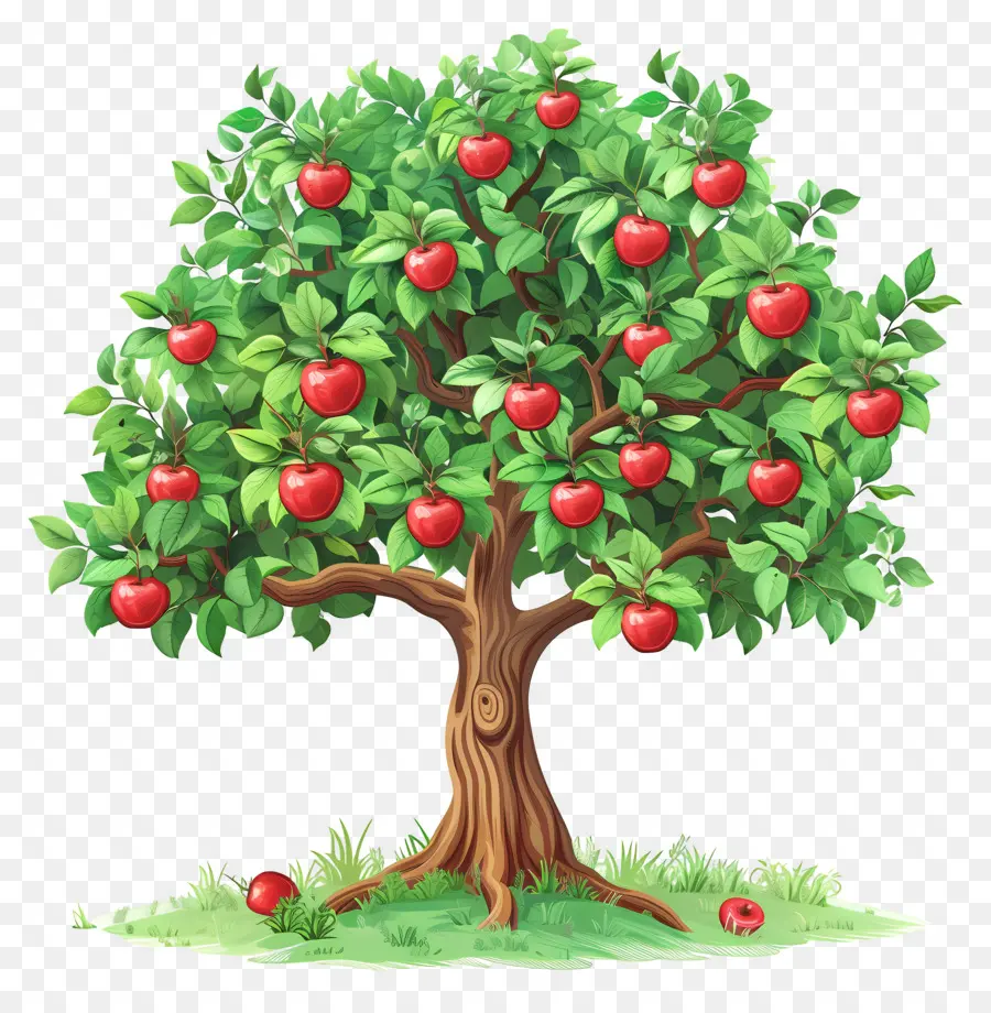 Macieira，Fruta PNG