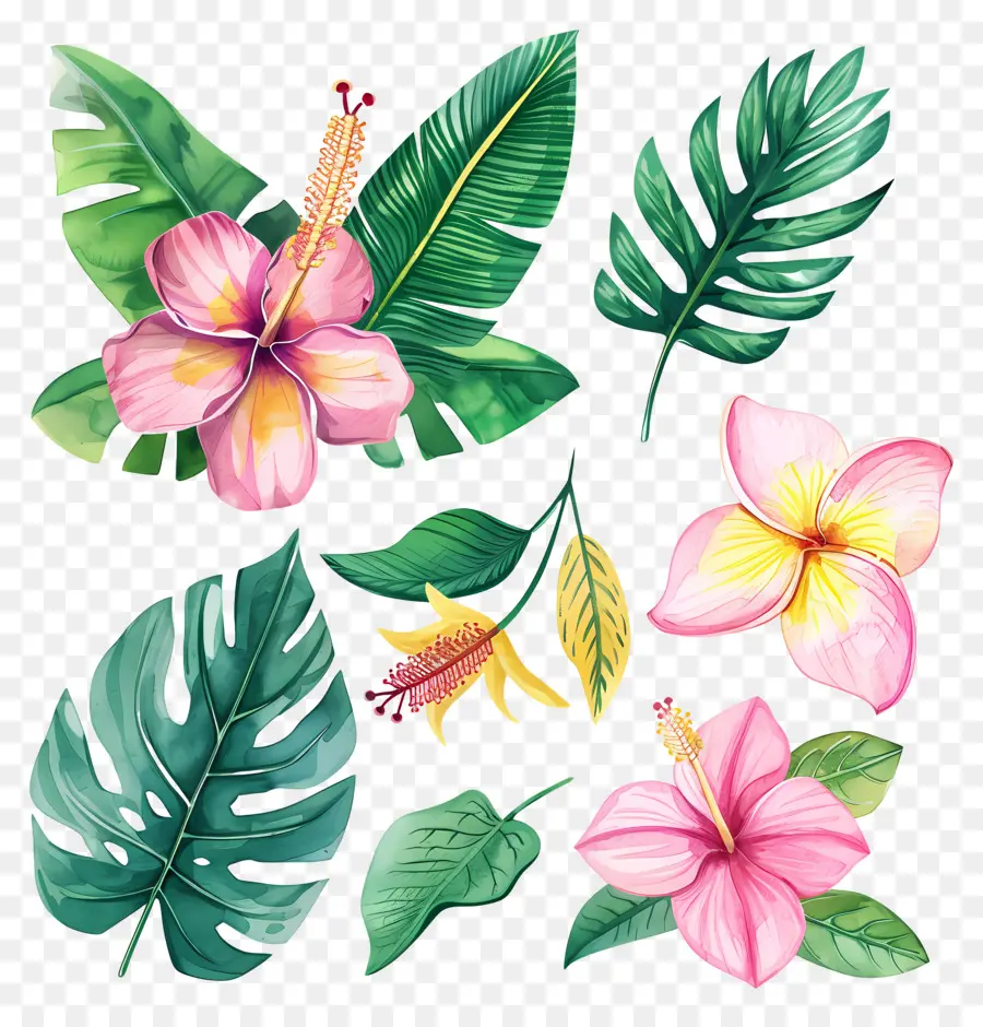 Flores Tropicais，Flores E Folhas Tropicais PNG