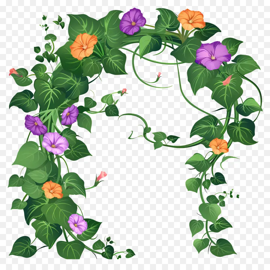 Arco De Flores，Arco Floral Com Ipomeias PNG