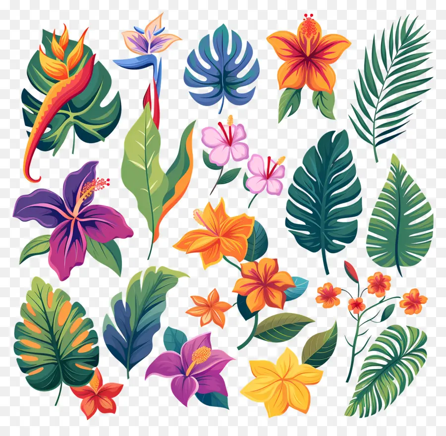 Flores Tropicais，Folhas E Flores Tropicais PNG