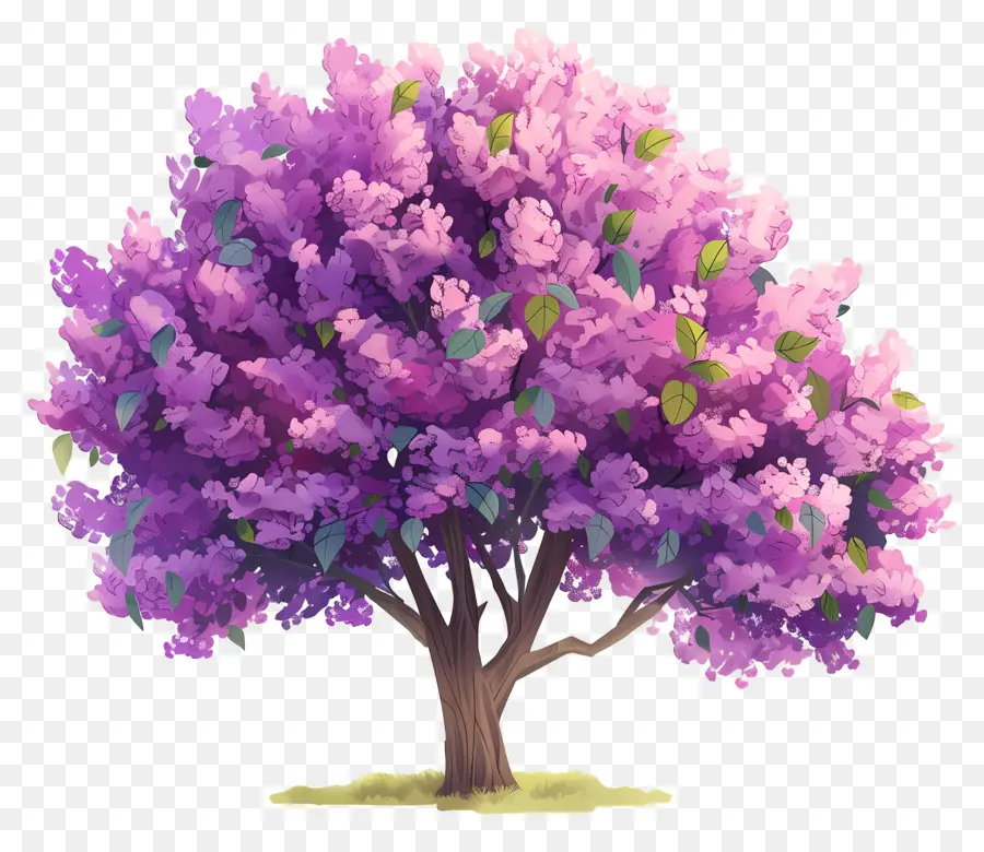 Árvore De Flores，Árvore Roxa PNG