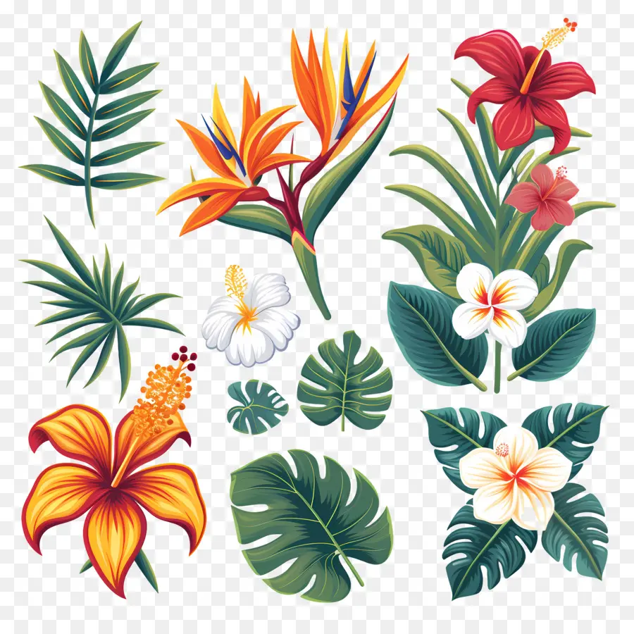 Flores Tropicais，Folhas E Flores Tropicais PNG