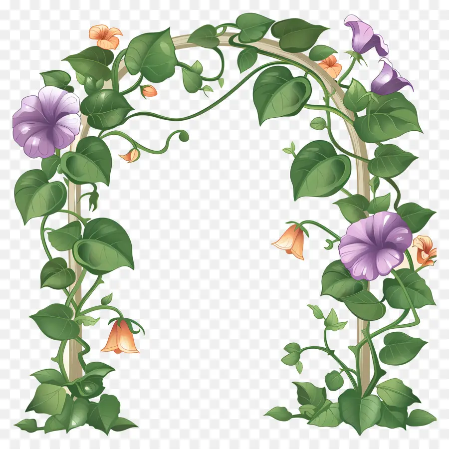 Arco De Flores，Arco Floral Com Ipomeias PNG