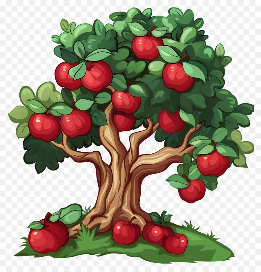 Macieira，Fruta PNG