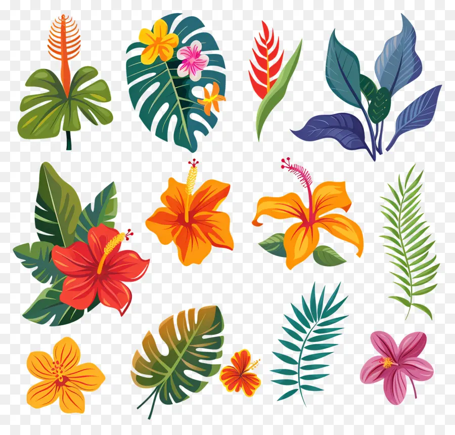 Flores Tropicais，Folhas E Flores Tropicais PNG