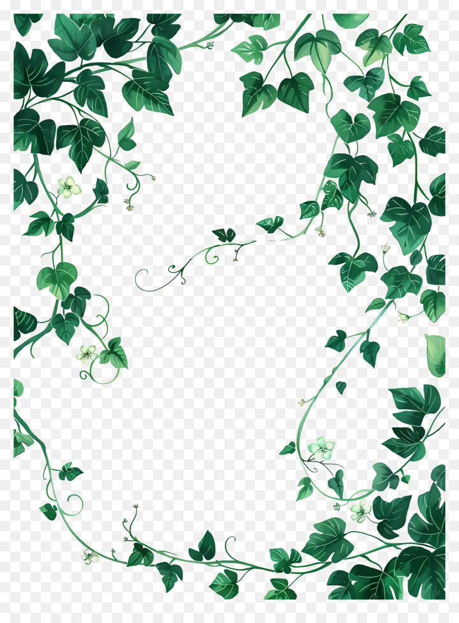 Planta Trepadeira，Hera PNG