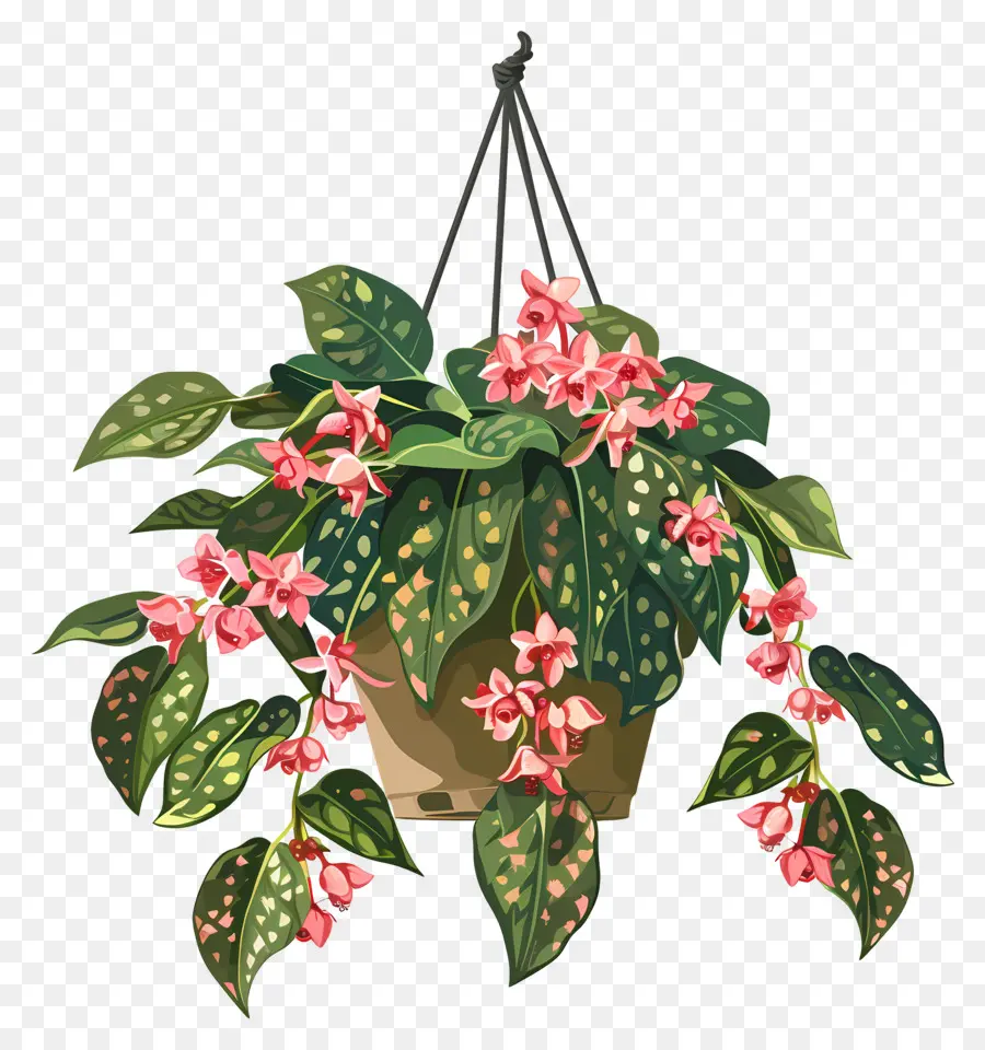 Flores Penduradas，Planta Suspensa Com Folhas Manchadas PNG