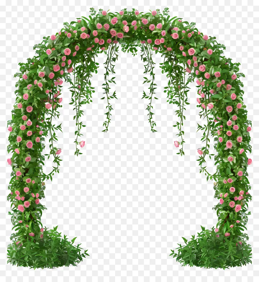 Arco Floral，Arco Rosa Rosa PNG