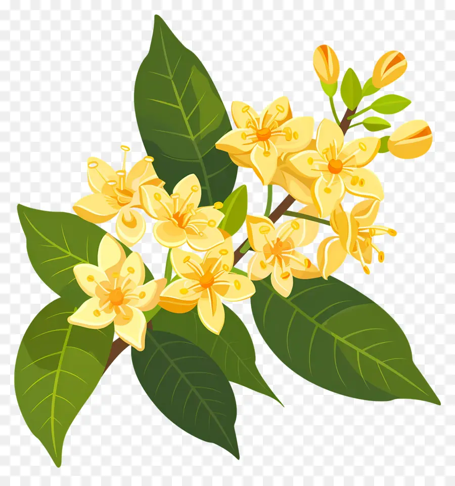 Flor De Osmanthus，Flores Amarelas PNG