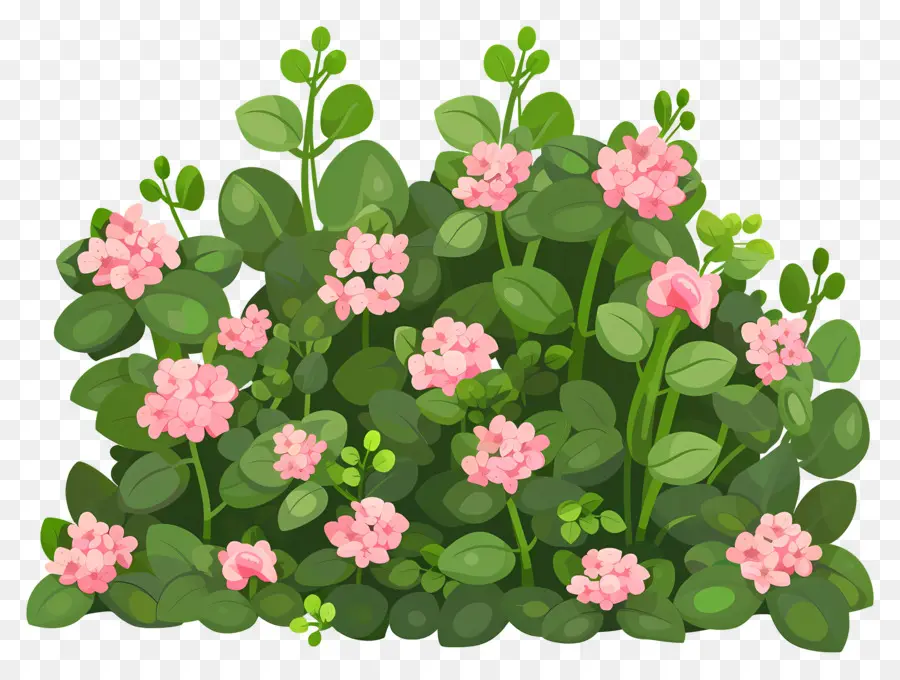 Arbusto De Flores，Arbusto Verde Com Flores Rosa PNG