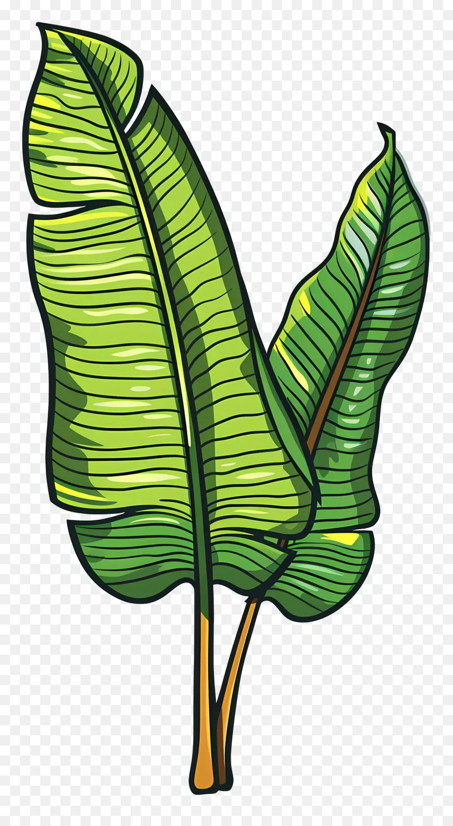 Folha Tropical，Folha Verde PNG