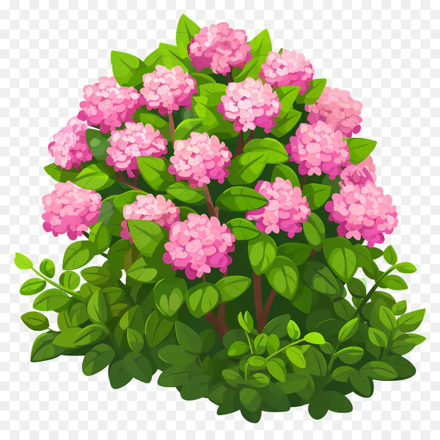 Arbusto De Flores，Arbusto Verde Com Flores Rosa PNG