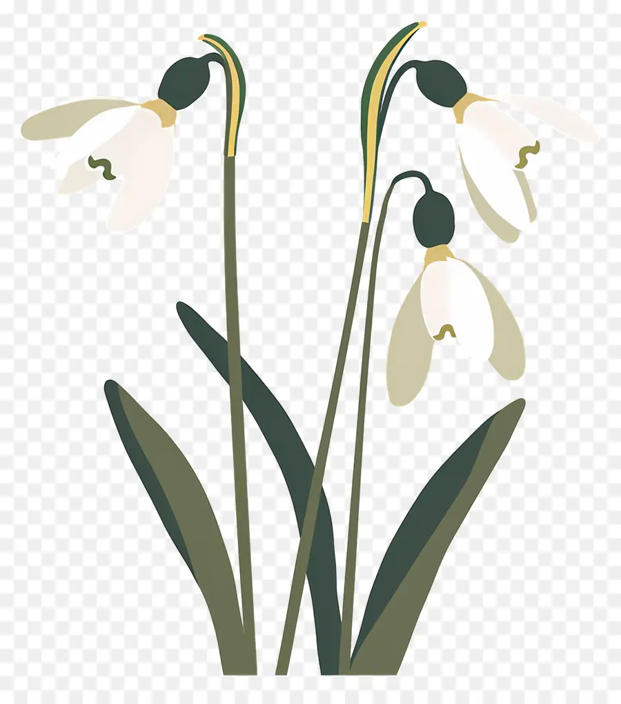 Flocos De Neve，Snowdrops Minimalistas PNG