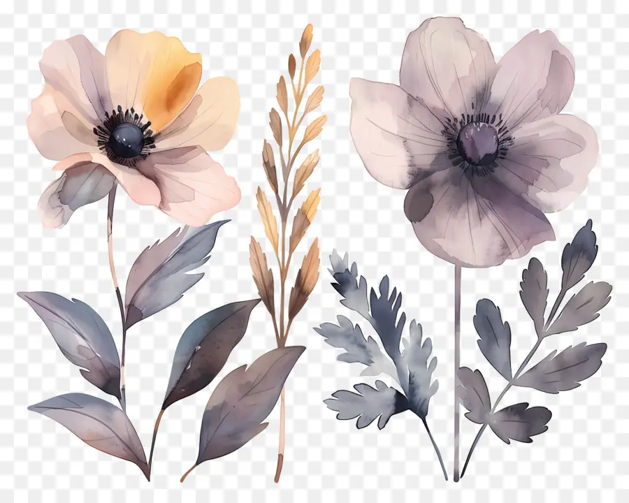 Flores Secas，Flores Em Aquarela PNG